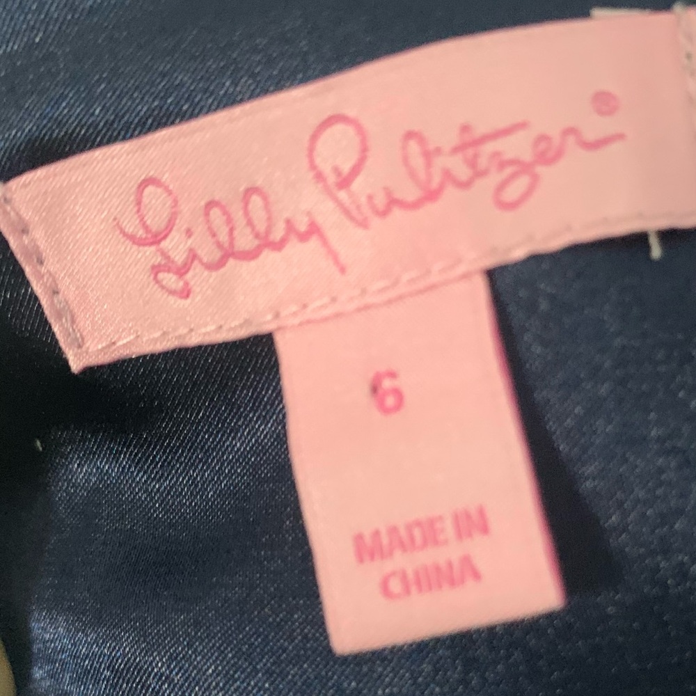 Lilly Pulitzer Special Dress - Picture 5 of 8